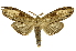  ( - INB0004243189)  @13 [ ] Copyright (2012) Juan Mata Lorenzen Unspecified