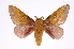  ( - INB0004247157)  @14 [ ] Copyright (2012) I. Chacon Instituto Nacional de Biodiversidad