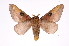 ( - INB0004247157)  @14 [ ] Copyright (2012) I. Chacon Instituto Nacional de Biodiversidad