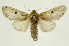 ( - INB0004249382)  @14 [ ] Copyright (2012) Juan Mata Lorenzen Unspecified