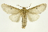  ( - INB0004249382)  @14 [ ] Copyright (2012) Juan Mata Lorenzen Unspecified