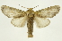  ( - INB0004249383)  @15 [ ] Copyright (2012) Juan Mata Lorenzen Unspecified