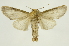  ( - INB0004249383)  @14 [ ] Copyright (2012) Juan Mata Lorenzen Unspecified