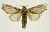  ( - INB0004249384)  @14 [ ] Copyright (2012) Juan Mata Lorenzen Unspecified