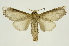  ( - INB0004249384)  @13 [ ] Copyright (2012) Juan Mata Lorenzen Unspecified