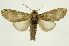 ( - INB0004249410)  @15 [ ] Copyright (2012) Juan Mata Lorenzen Unspecified