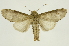  ( - INB0004249410)  @13 [ ] Copyright (2012) Juan Mata Lorenzen Unspecified