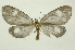  ( - INB0004250626)  @14 [ ] Copyright (2012) Juan Mata Lorenzen Unspecified