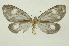  ( - INB0004250626)  @14 [ ] Copyright (2012) Juan Mata Lorenzen Unspecified