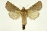  (Marthula - INB0004261367)  @15 [ ] Copyright (2012) Juan Mata Lorenzen Unspecified