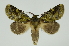  ( - INB0004261408)  @14 [ ] Copyright (2012) Juan Mata Lorenzen Unspecified