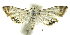  ( - INB0004263603)  @13 [ ] CreativeCommons - Attribution Non-Commercial Share-Alike  National Biodiversity Institute of Costa Rica National Biodiversity Institute of Costa Rica