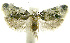  ( - INB0004263618)  @14 [ ] CreativeCommons - Attribution Non-Commercial Share-Alike (2012) National Biodiversity Institute of Costa Rica National Biodiversity Institute of Costa Rica
