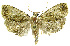  ( - INB0004263621)  @14 [ ] CreativeCommons - Attribution Non-Commercial Share-Alike (2012) National Biodiversity Institute of Costa Rica National Biodiversity Institute of Costa Rica