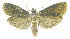 ( - INB0004263622)  @13 [ ] CreativeCommons - Attribution Non-Commercial Share-Alike (2012) National Biodiversity Institute of Costa Rica National Biodiversity Institute of Costa Rica