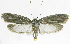  ( - INB0004263677)  @13 [ ] CreativeCommons - Attribution Non-Commercial Share-Alike  National Biodiversity Institute of Costa Rica National Biodiversity Institute of Costa Rica