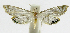  ( - INB0004264988)  @12 [ ] CreativeCommons - Attribution Non-Commercial Share-Alike  National Biodiversity Institute of Costa Rica National Biodiversity Institute of Costa Rica