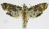  ( - INB0004265002)  @12 [ ] CreativeCommons - Attribution Non-Commercial Share-Alike  National Biodiversity Institute of Costa Rica National Biodiversity Institute of Costa Rica