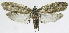  ( - INB0004265028)  @13 [ ] CreativeCommons - Attribution Non-Commercial Share-Alike  National Biodiversity Institute of Costa Rica National Biodiversity Institute of Costa Rica