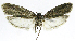  ( - INB0004265045)  @13 [ ] CreativeCommons - Attribution Non-Commercial Share-Alike  National Biodiversity Institute of Costa Rica National Biodiversity Institute of Costa Rica