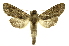  ( - INB0004265183)  @13 [ ] Copyright (2012) Juan Mata Lorenzen Unspecified