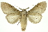  ( - INB0004265198)  @13 [ ] Copyright (2012) Juan Mata Lorenzen Unspecified
