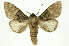  ( - INB0004265199)  @13 [ ] Copyright (2012) Juan Mata Lorenzen Unspecified