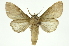  ( - INB0004265199)  @14 [ ] Copyright (2012) Juan Mata Lorenzen Unspecified
