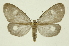  ( - INB0004265234)  @14 [ ] Copyright (2012) Juan Mata Lorenzen Unspecified