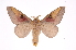  ( - INB0004265579)  @14 [ ] Copyright (2012) I. Chacon Instituto Nacional de Biodiversidad