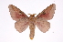  ( - INB0004265580)  @14 [ ] Copyright (2012) I. Chacon Instituto Nacional de Biodiversidad