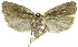  ( - INB0004269454)  @12 [ ] CreativeCommons - Attribution Non-Commercial Share-Alike  National Biodiversity Institute of Costa Rica National Biodiversity Institute of Costa Rica
