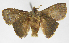  ( - INB0004273393)  @12 [ ] Copyright (2012) J. Montero Instituto Nacional de Biodiversidad