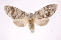  ( - INB0004278484)  @14 [ ] Copyright (2012) I. Chacon Instituto Nacional de Biodiversidad