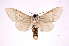  ( - INB0004278484)  @13 [ ] Copyright (2012) I. Chacon Instituto Nacional de Biodiversidad