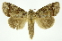  ( - INB0004280480)  @14 [ ] Copyright (2012) Juan Mata Lorenzen Unspecified