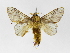  ( - INB0004291825)  @14 [ ] Copyright (2012) J. Montero Instituto Nacional de Biodiversidad