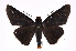  ( - INB0004313744)  @13 [ ] Copyright (2012) I. Chacon Instituto Nacional de Biodiversidad
