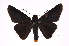  ( - INB0004313751)  @13 [ ] Copyright (2012) I. Chacon Instituto Nacional de Biodiversidad