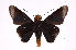  ( - INB0004313764)  @12 [ ] Copyright (2012) I. Chacon Instituto Nacional de Biodiversidad