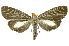  ( - INB0004370361)  @14 [ ] Copyright (2012) Juan Mata Lorenzen Unspecified
