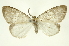  ( - INB0004370383)  @11 [ ] Copyright (2012) Juan Mata Lorenzen Unspecified