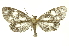  ( - INB0004370385)  @11 [ ] Copyright (2012) Juan Mata Lorenzen Unspecified