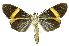  ( - INB0004370390)  @13 [ ] Copyright (2012) Juan Mata Lorenzen Unspecified