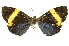  ( - INB0004370394)  @11 [ ] Copyright (2012) Juan Mata Lorenzen Unspecified
