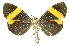  ( - INB0004370395)  @11 [ ] Copyright (2012) Juan Mata Lorenzen Unspecified