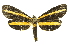  ( - INB0004370397)  @11 [ ] Copyright (2012) Juan Mata Lorenzen Unspecified