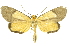  ( - INB0004370433)  @11 [ ] Copyright (2012) Juan Mata Lorenzen Unspecified