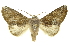  ( - INBIO0003046325)  @13 [ ] Copyright (2012) Juan Mata Lorenzen Unspecified