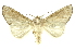  ( - INBIO0003046325)  @13 [ ] Copyright (2012) Juan Mata Lorenzen Unspecified